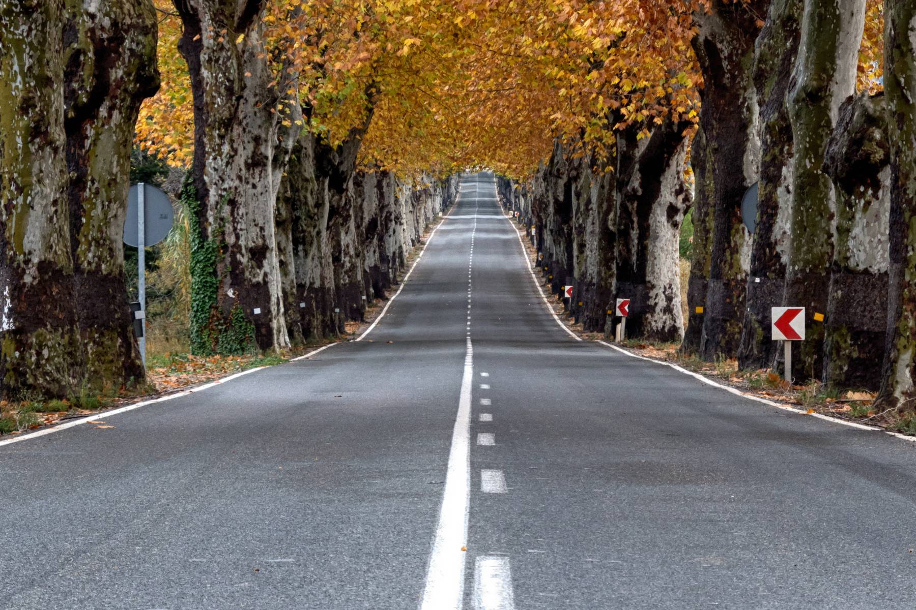 Los tramos TEFIVA de las carreteras de Murcia