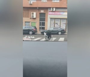 Hombre silla de ruedas