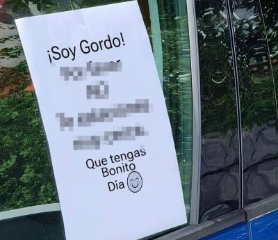 cartel-soy-gordo-coche