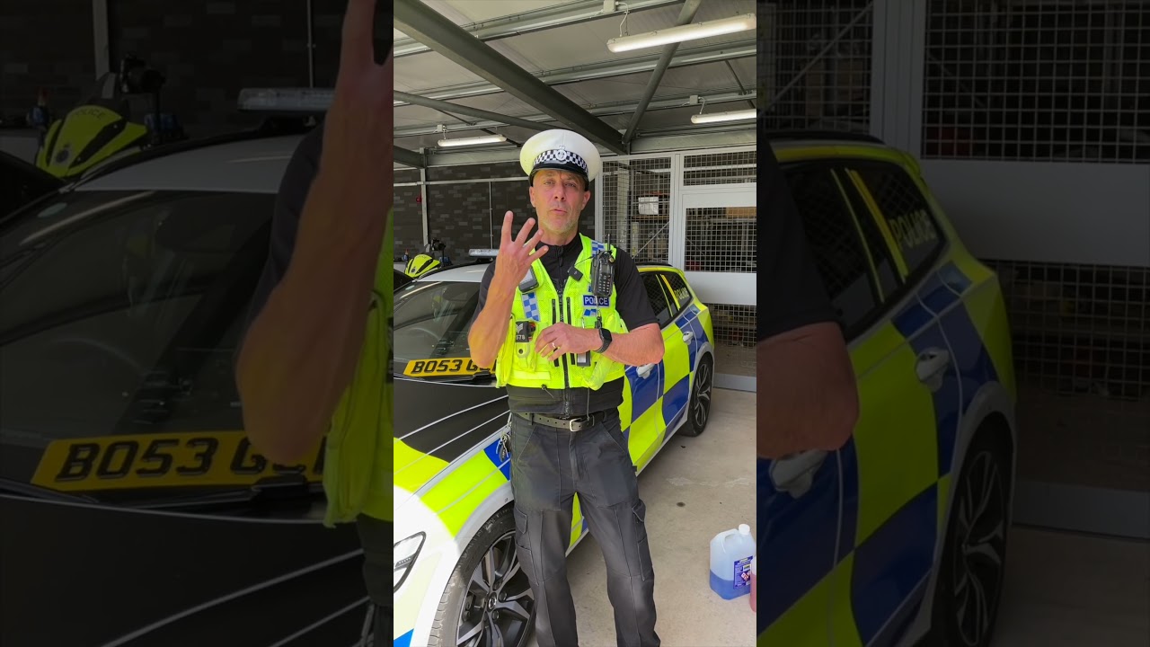 timo matrículas clonadas