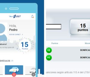 puntos carnet conducir