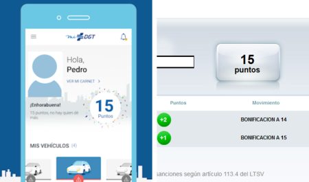 puntos carnet conducir