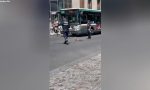 Los animales también deben cruzar la calle con seguridad: así es como un policía ayuda a unos patos en París
