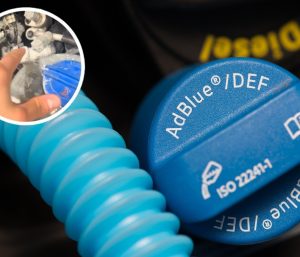 adblue cristalización