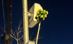 Flores contra radares, la última moda en la carretera