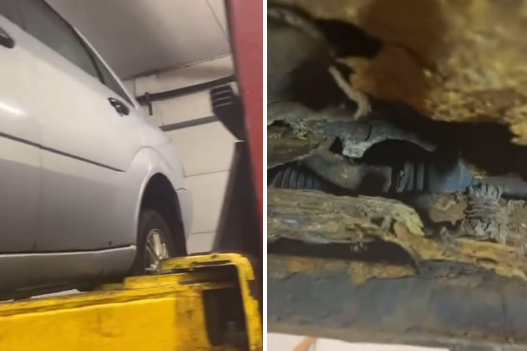 Lleva el coche al taller por un ruido en los bajos y el mecánico no da crédito a lo que ve: lo más visto en EL MOTOR