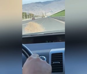 Estepicursores Almería