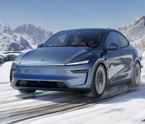 cuanto vale un tesla