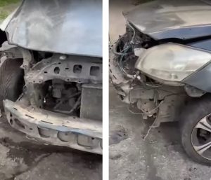 ataque coches perros