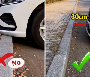 truco 30 centimetros aparcar