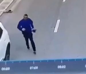 Perro se da a la fuga