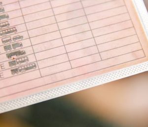 carnet conducir duplicado