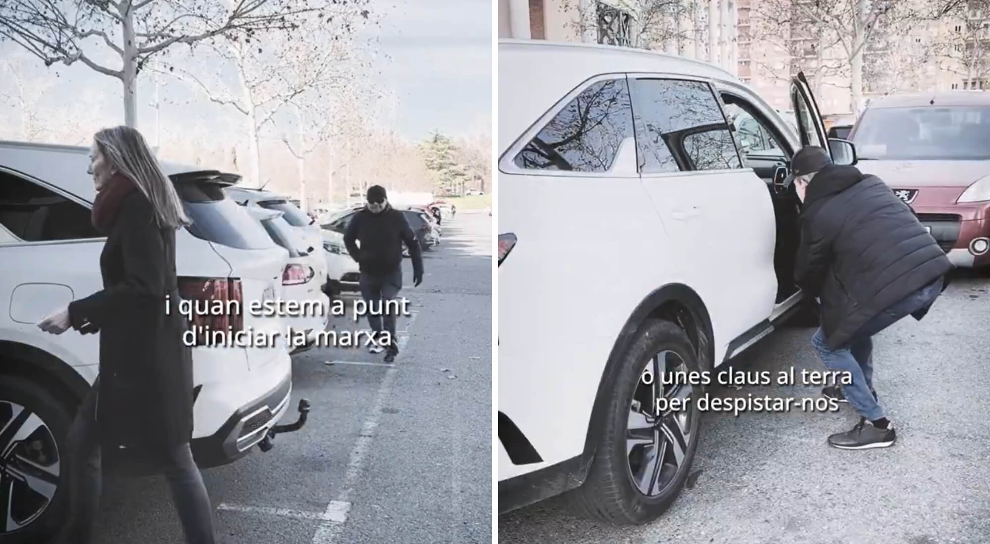 metodo de la siembra mossos