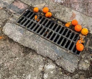 truco naranjas ladrones