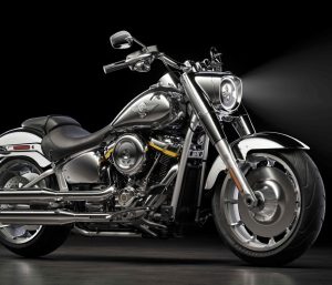 Harley Davidson Fat Boy Gray Ghost