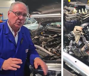 Mecánico limpieza cáscara nuez