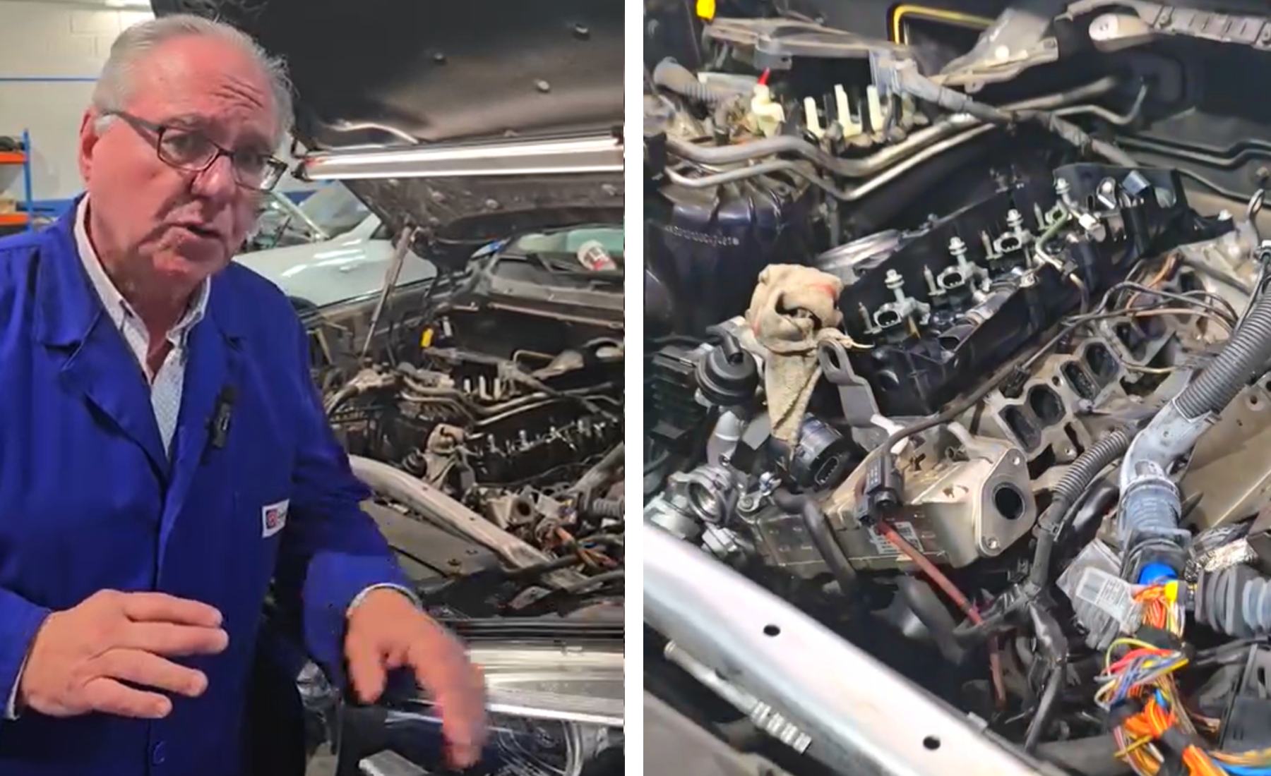 Mecánico limpieza cáscara nuez