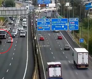 burro carretera sevilla dgt