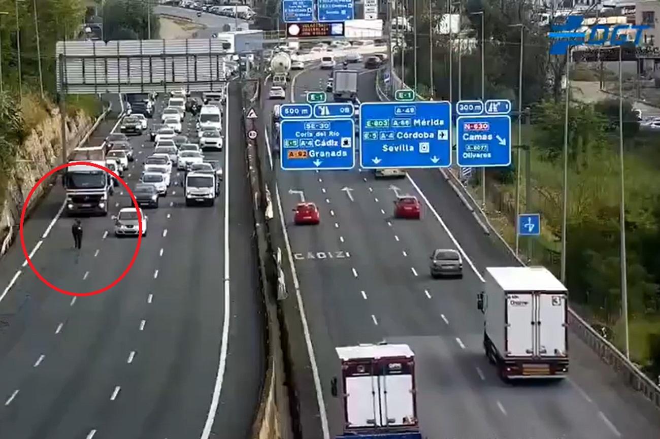 burro carretera sevilla dgt