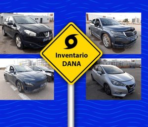 copart subastas coches dana