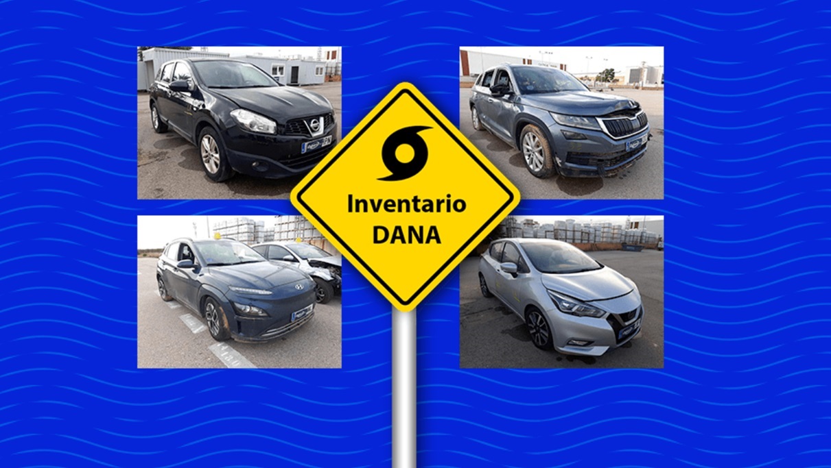 copart subastas coches dana
