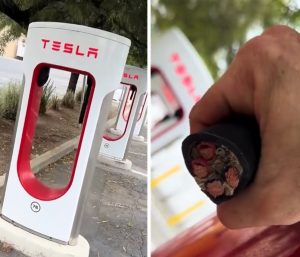 robo cables coches eléctricos