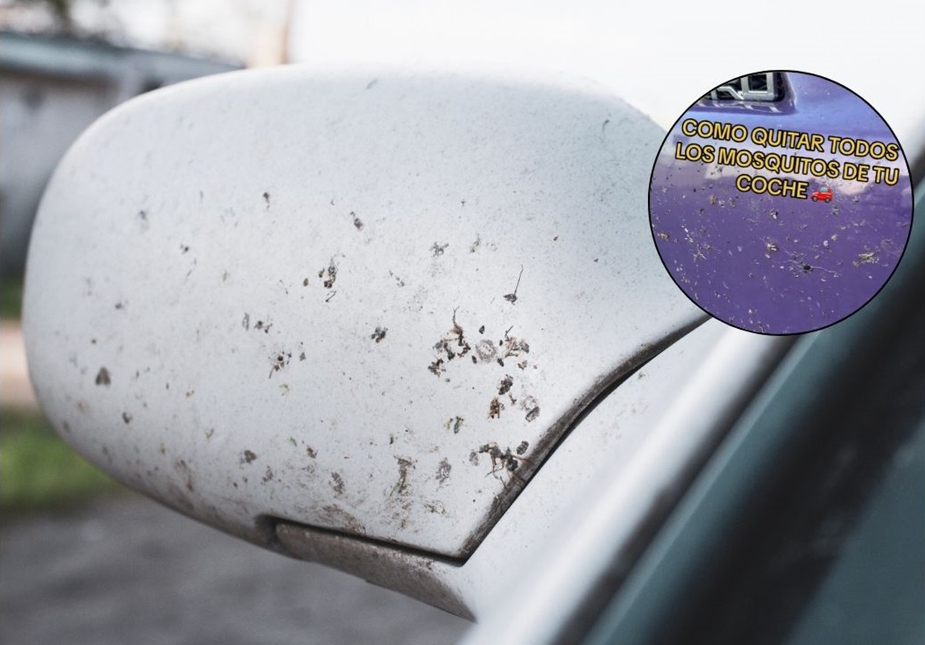 Mosquitos coche
