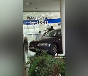 robo coche Leganés parquesur