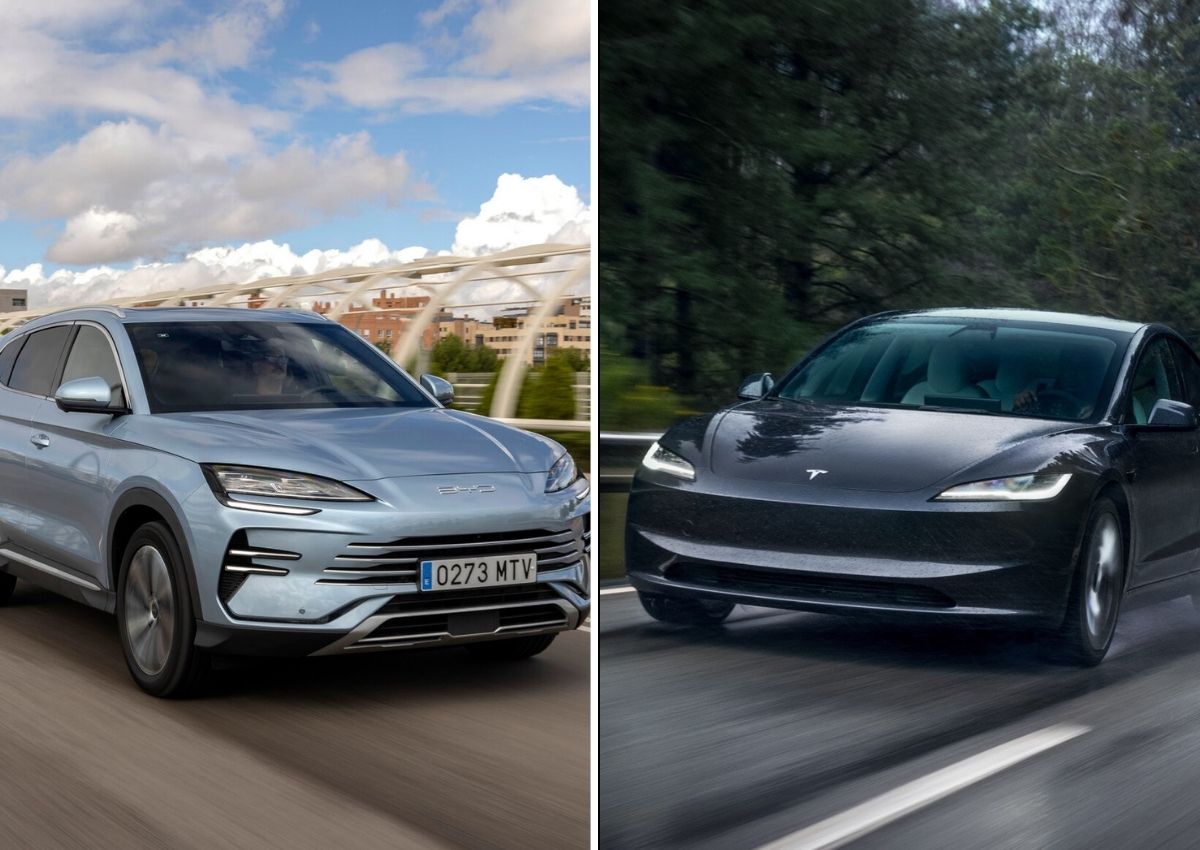 tesla versus byd batería