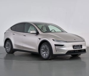 Tesla Model Y L