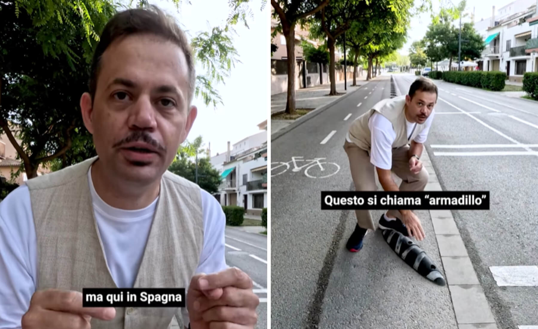 armadillos españa italia