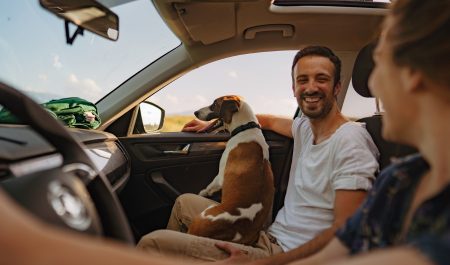 coche perro asiento delantero