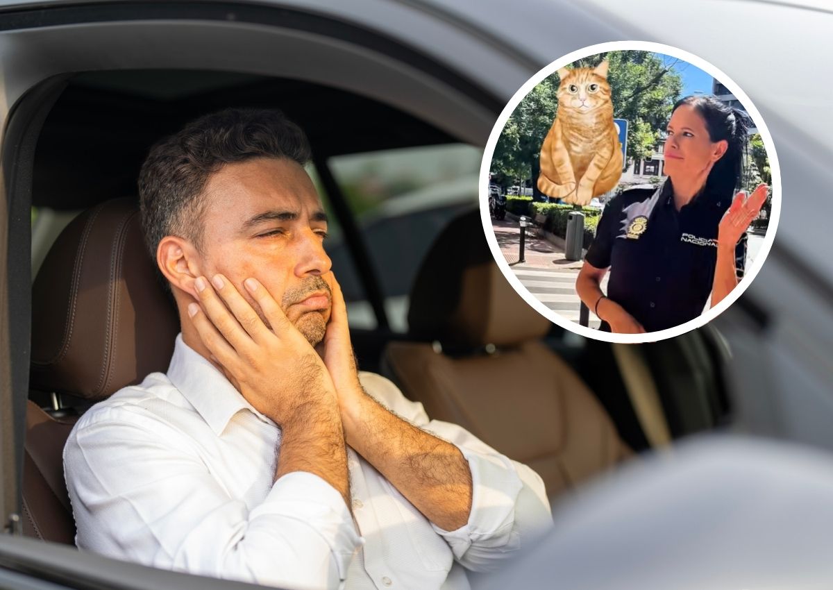 estafa timo gato coches