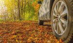 Peligro invisible: cómo las hojas secas complican la conducción en otoño