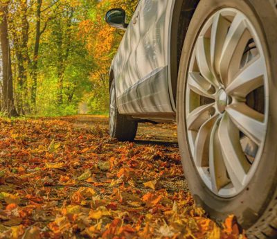 Hojas caídas asfalto