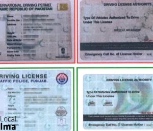 carnet conducir fantasía