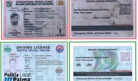 carnet conducir fantasía