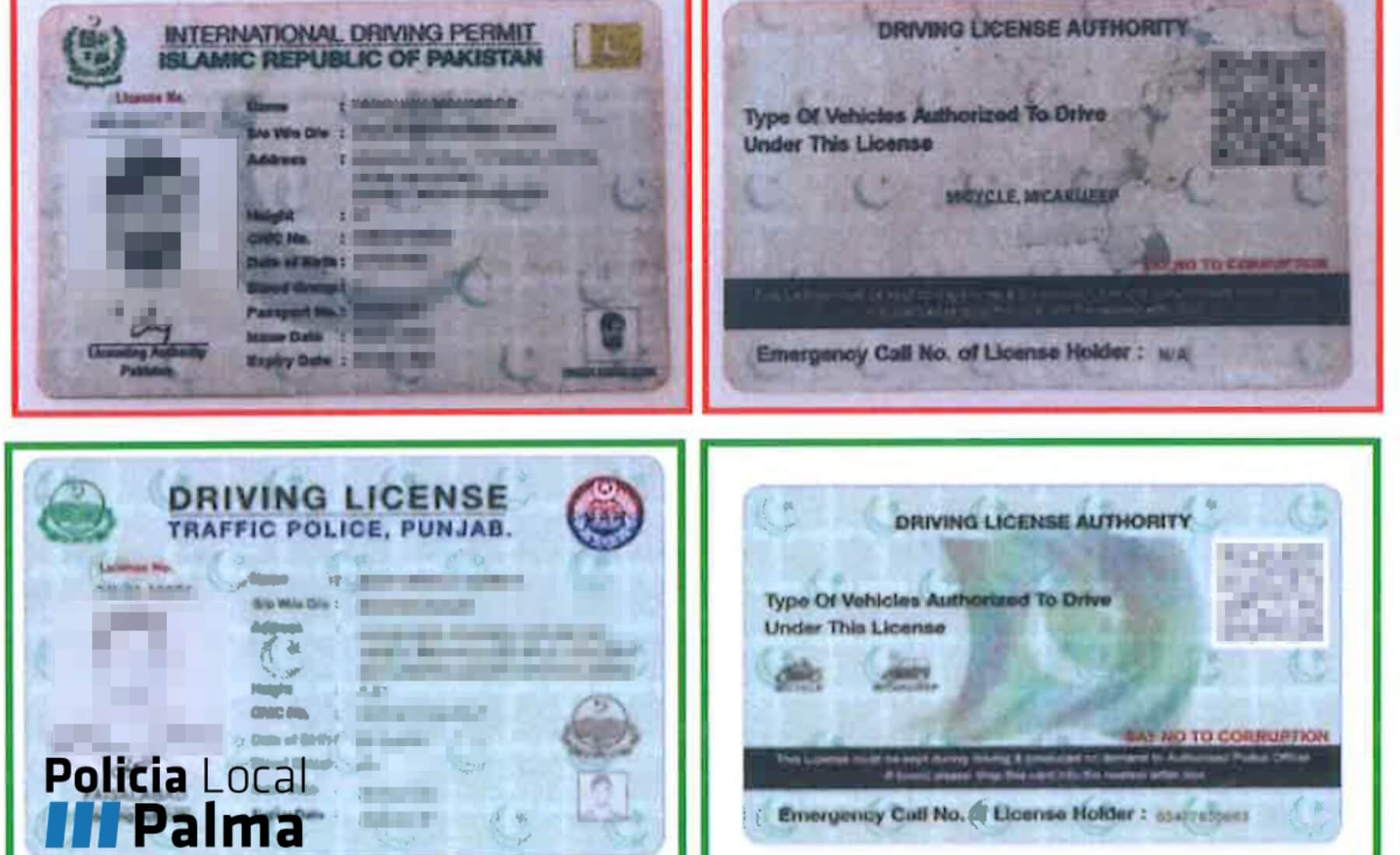 carnet conducir fantasía