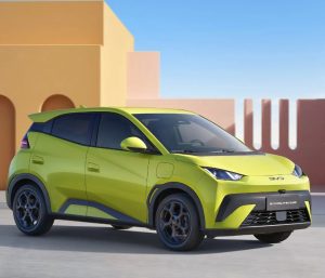 Coches eléctricos pequeños y baratos