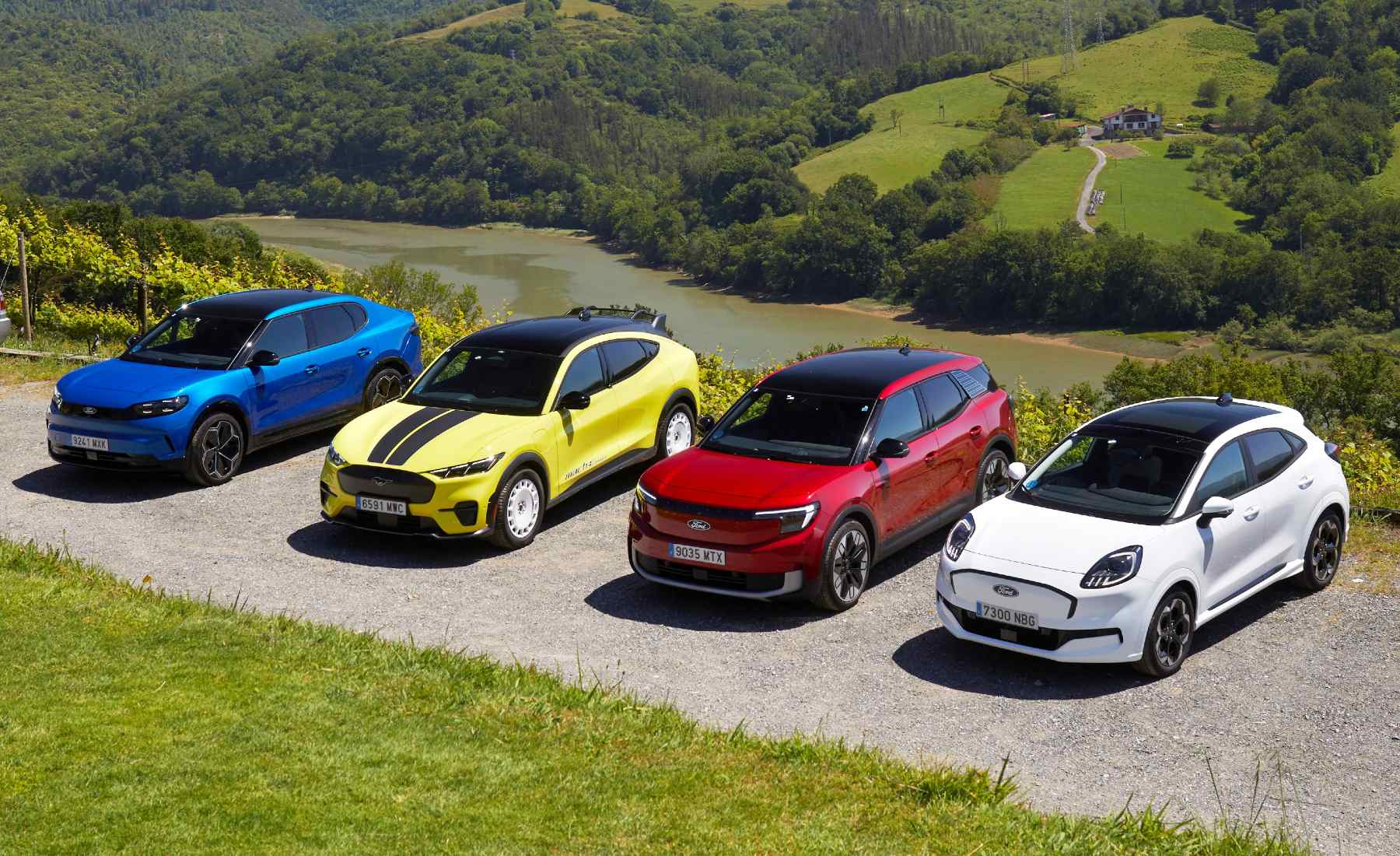 Gama Go Electric Ford modelos