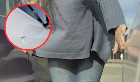 Modo centinela tesla