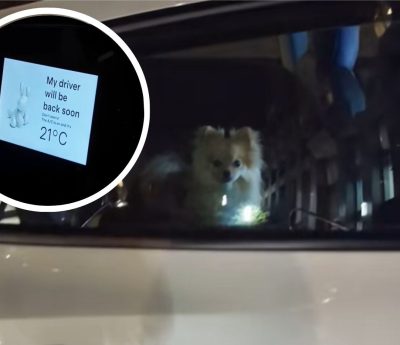 'Modo mascota' de Tesla.