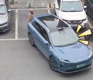 Coche chino aparcamiento autónomo