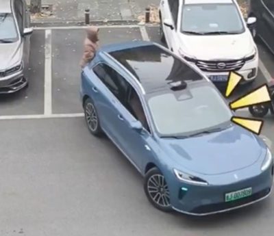 Coche chino aparcamiento autónomo