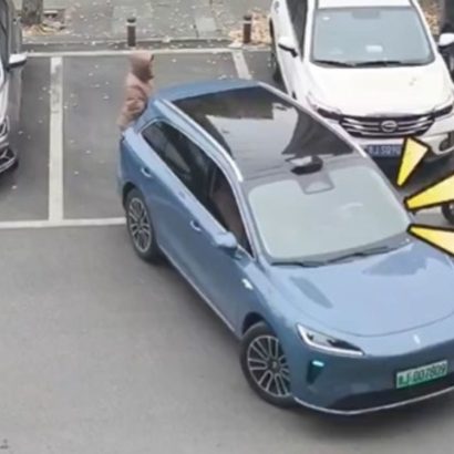 Una mujer guardaba sitio a su marido para aparcar, llega un coche chino y hace esto: alucinar es poco