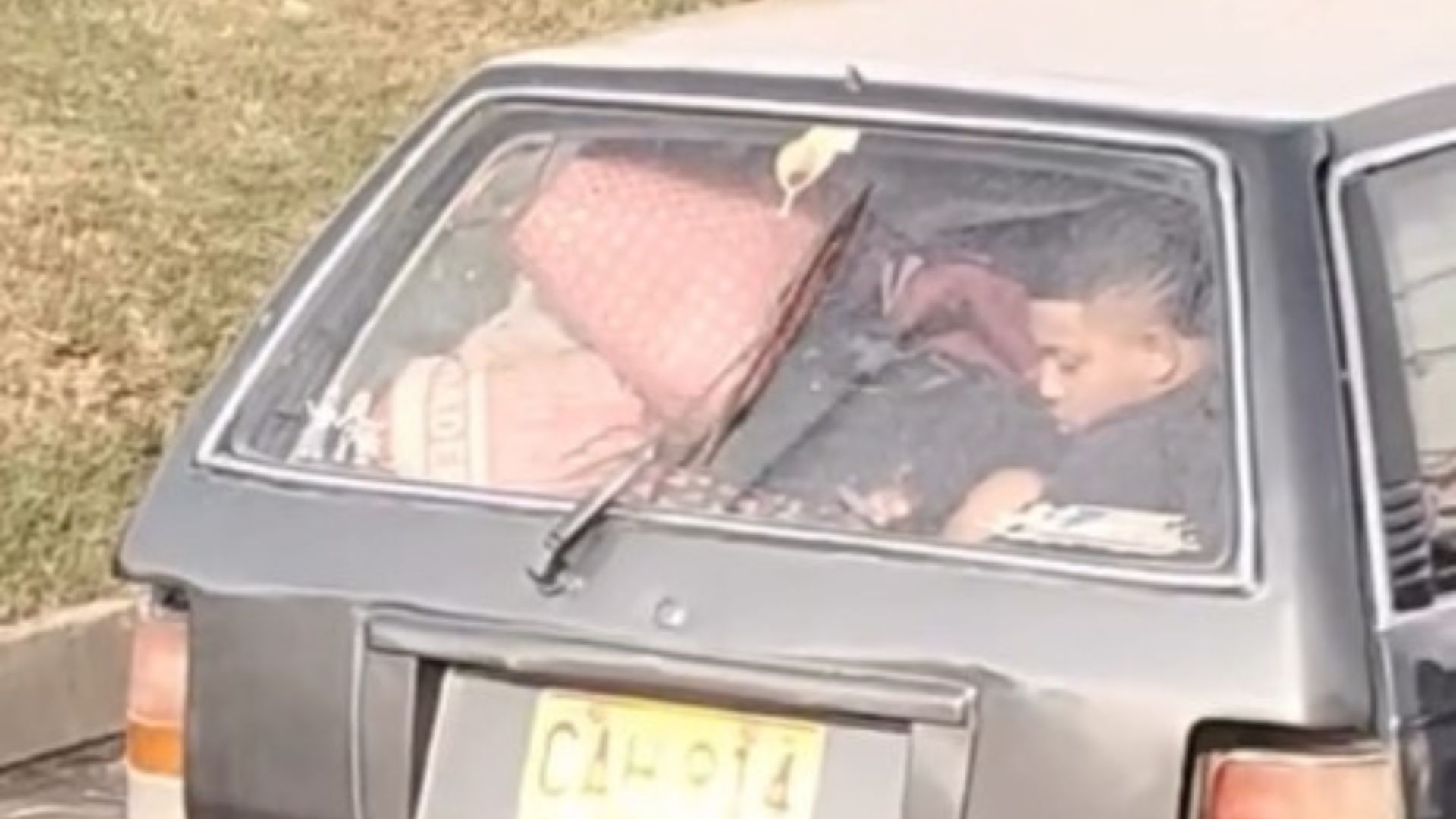 Coche mudanza mascota