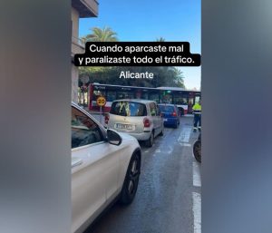 Conductora autobús Alicante