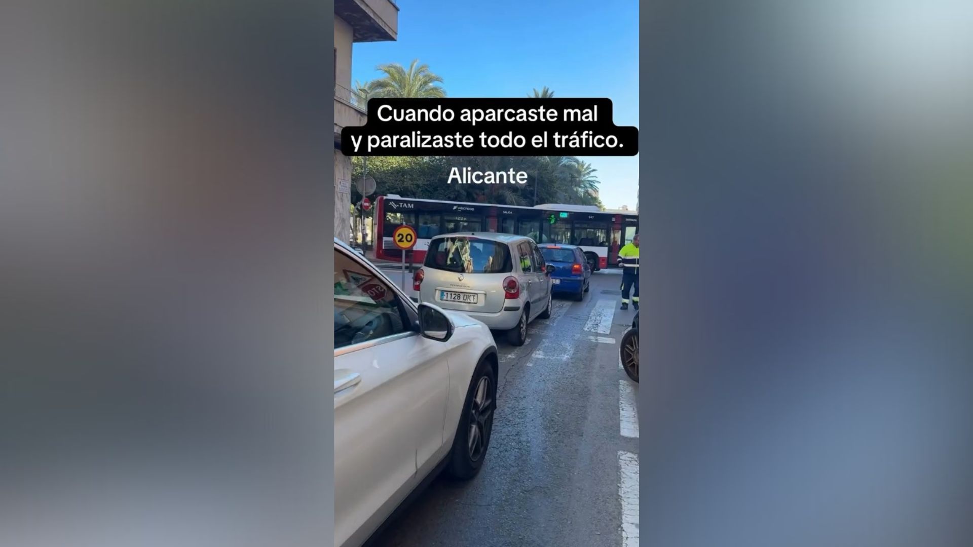 Conductora autobús Alicante