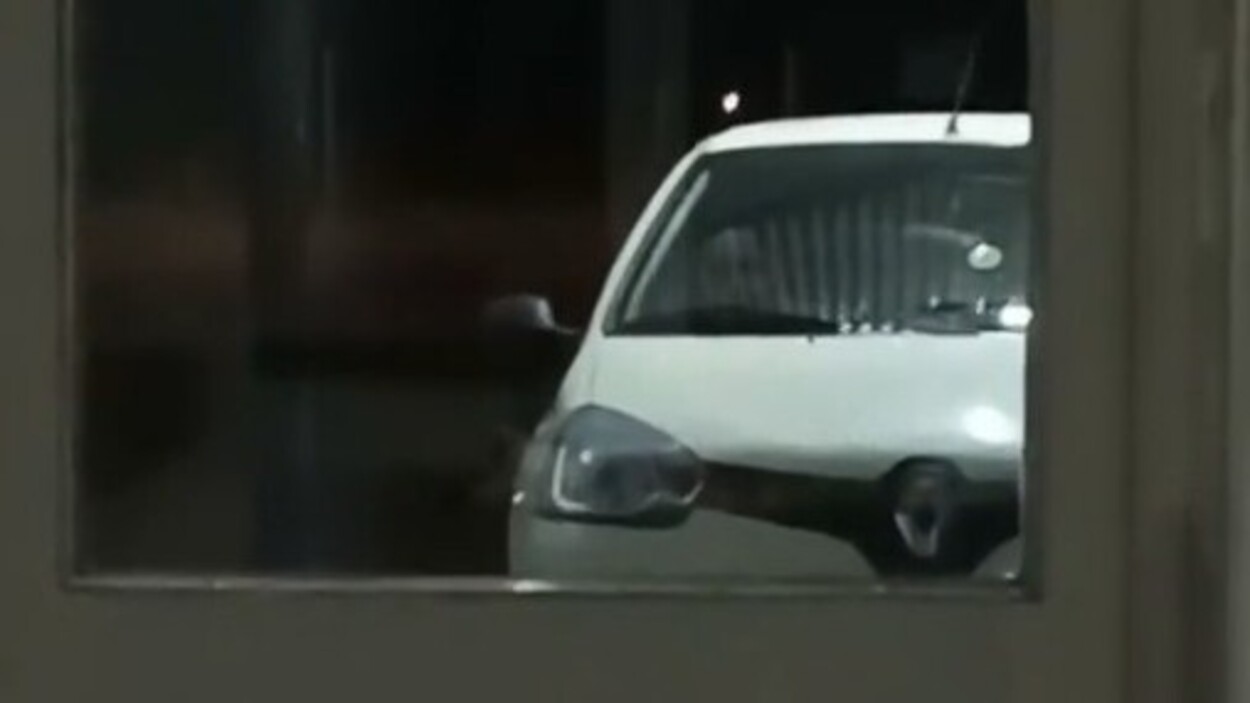 Fenómeno paranormal Renault
