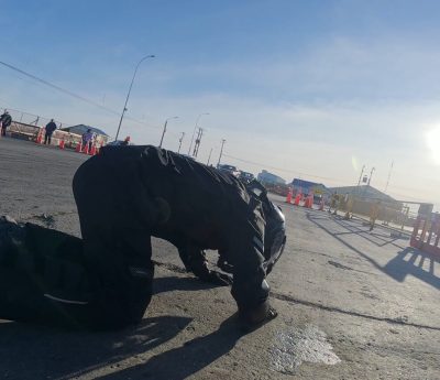 Tierra del Fuego Sinewan